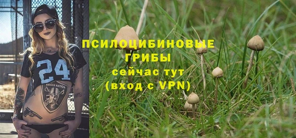 jwh Гусиноозёрск