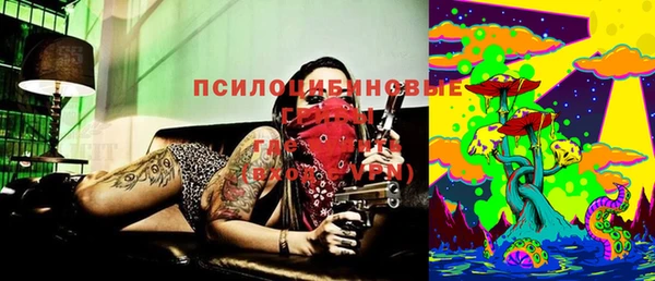 МДПВ Бердск