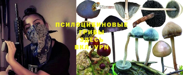 jwh Гусев