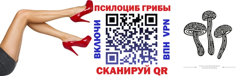 Купить закладки  Кизел  Галлюциногенные грибы прущие грибы 