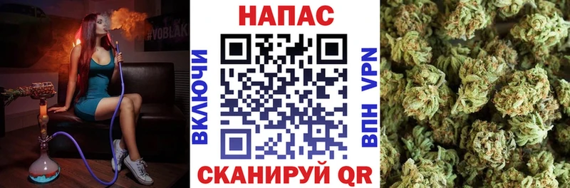 Купить где  Кизел  Бошки Шишки планчик 